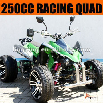 250cc ATV Quad-Bike 250 (Racing)